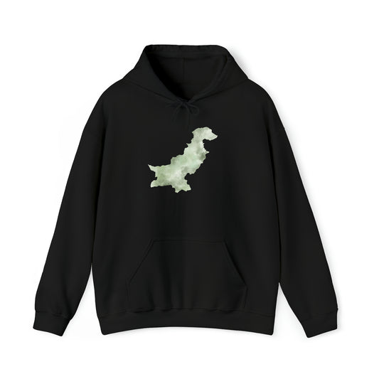 PAKISTAN COLOR MAP HOODIE